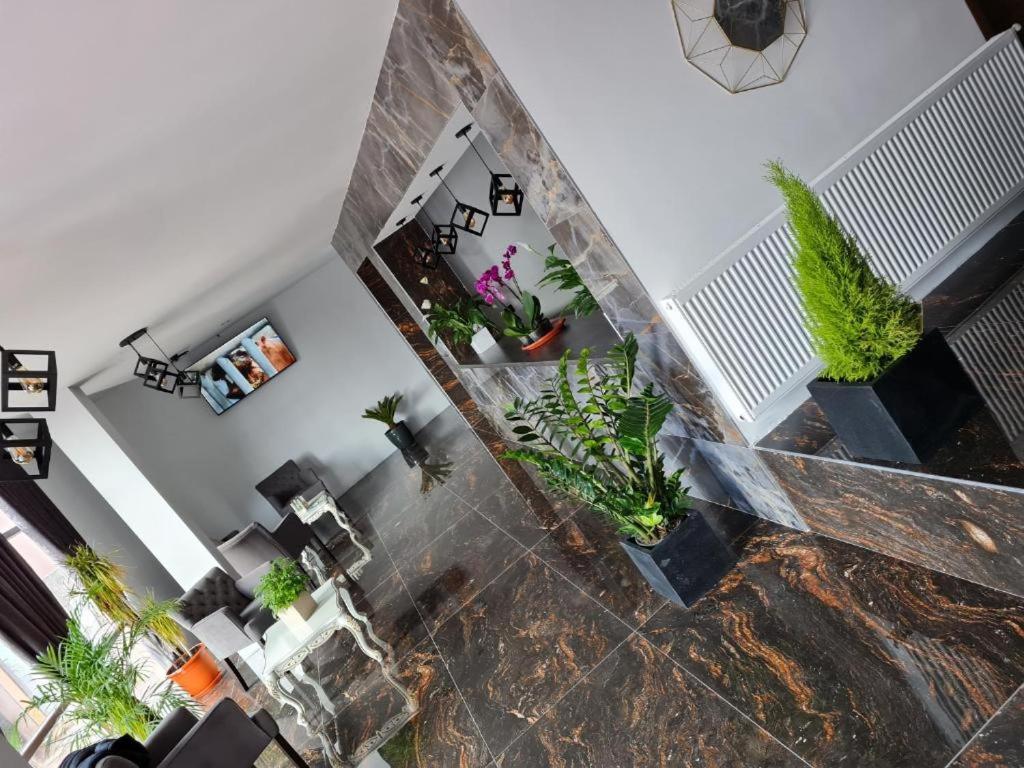 Hotel Aqua Palace Petrosani Ngoại thất bức ảnh